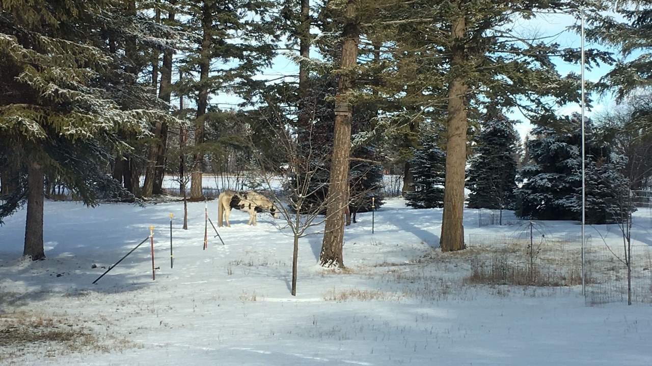 Photo of Others in Evergreen
