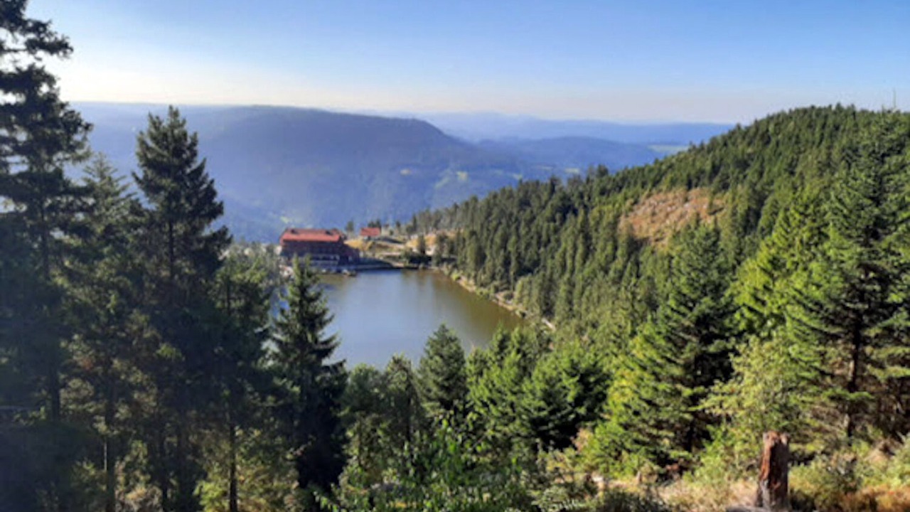 Photo of Others in Baiersbronn