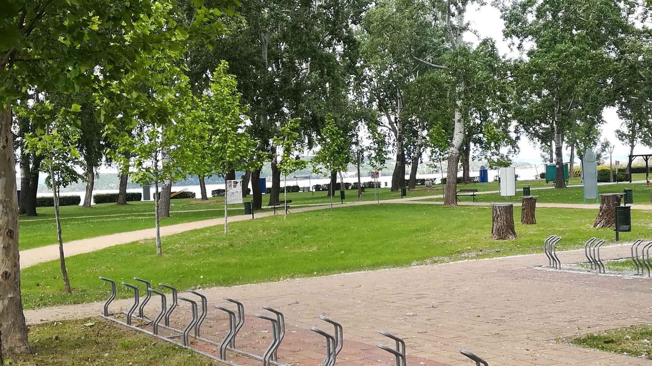 Photo of Others in Balatonfoldvar