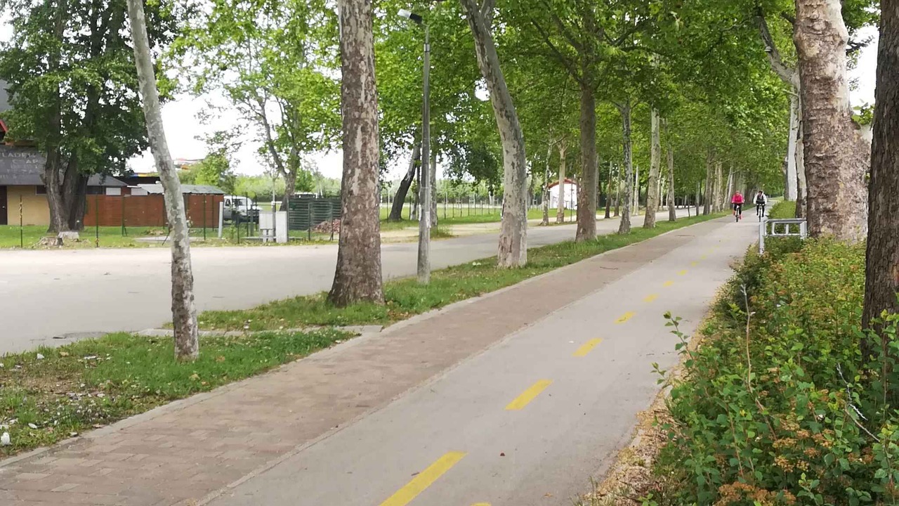 Photo of Others in Balatonfoldvar