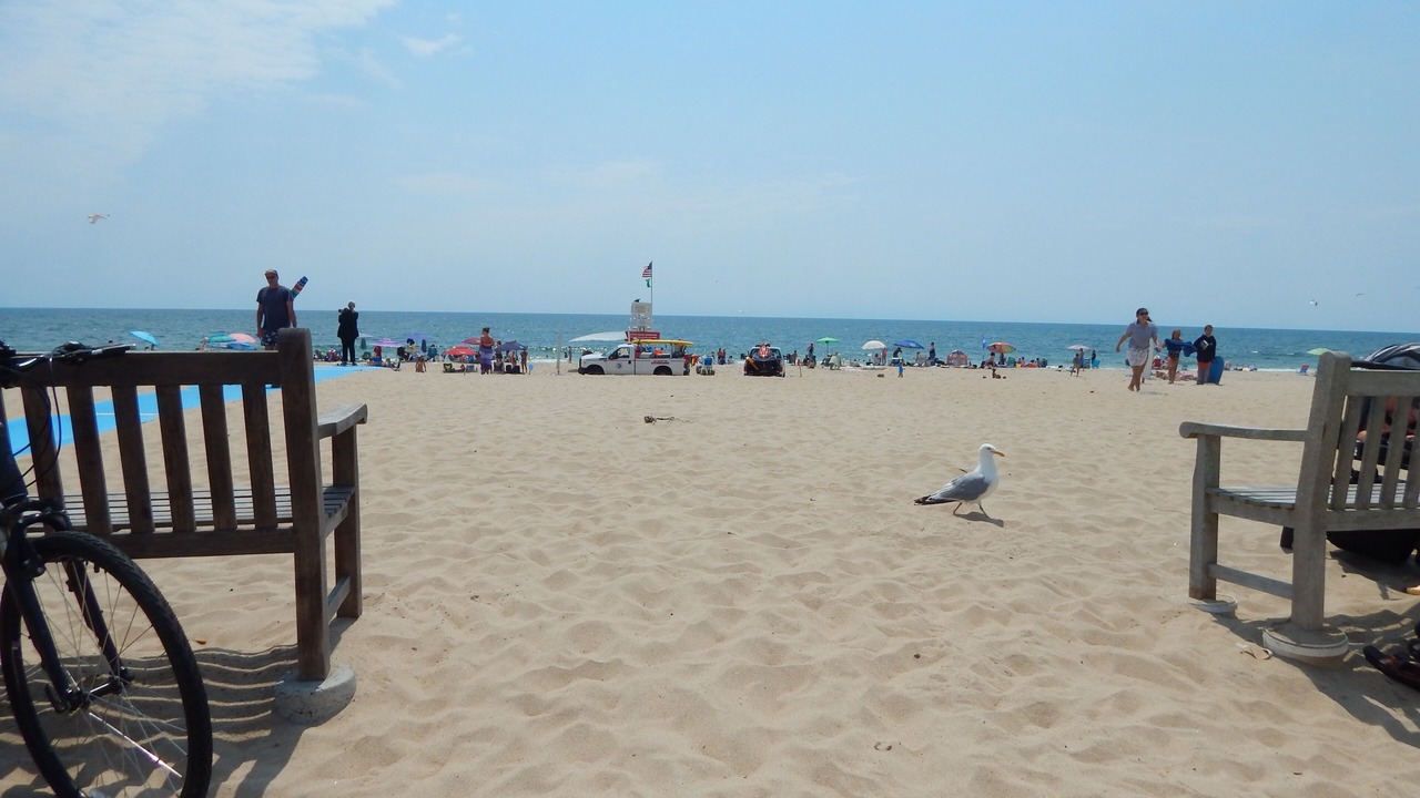 Photo of Others in Amagansett North
