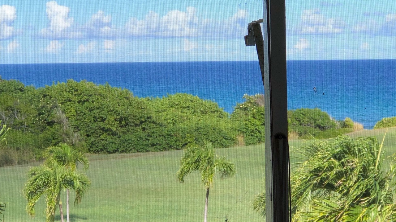 Photo of Outdoor in Estate Salt River
