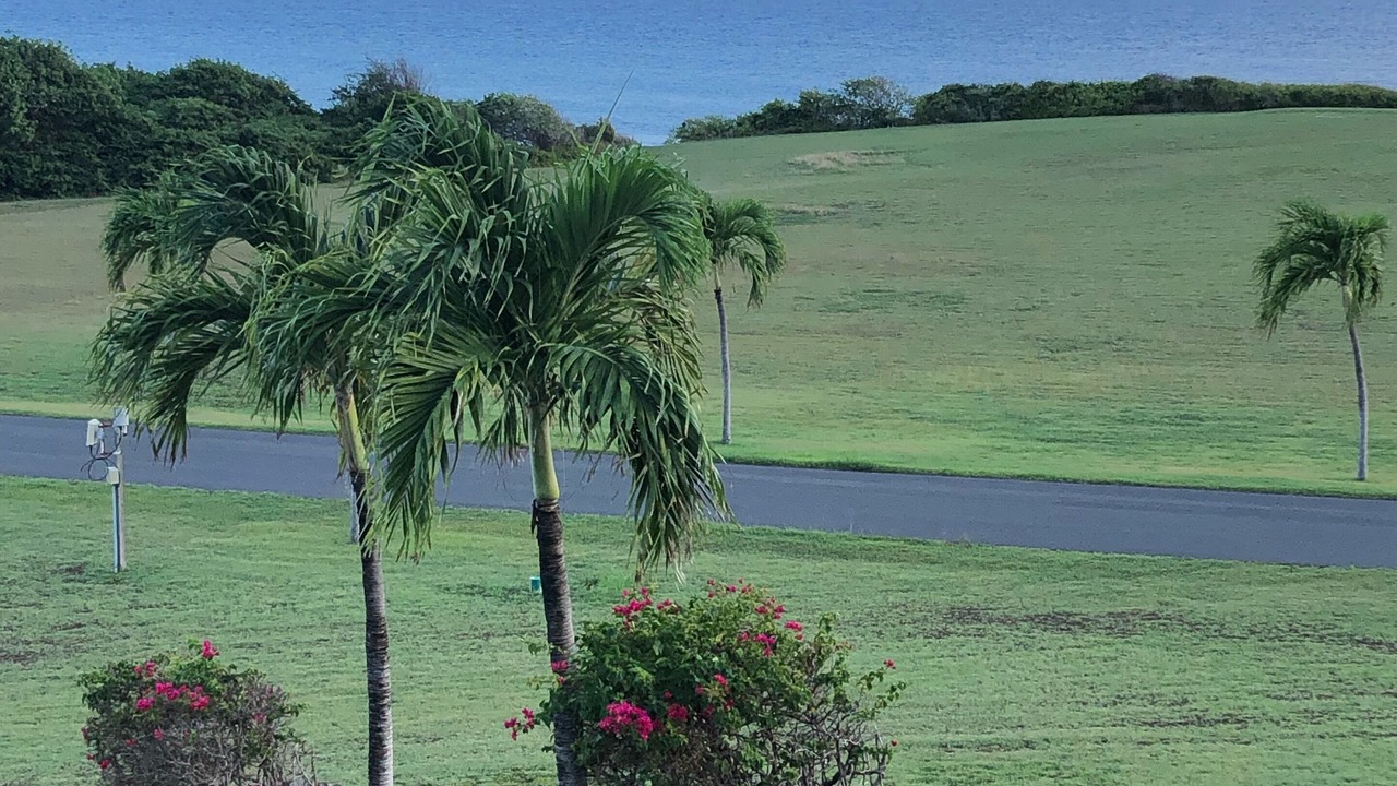 Photo of Outdoor in Estate Salt River
