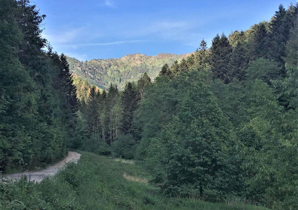 Photo of Outdoor in Masevaux
