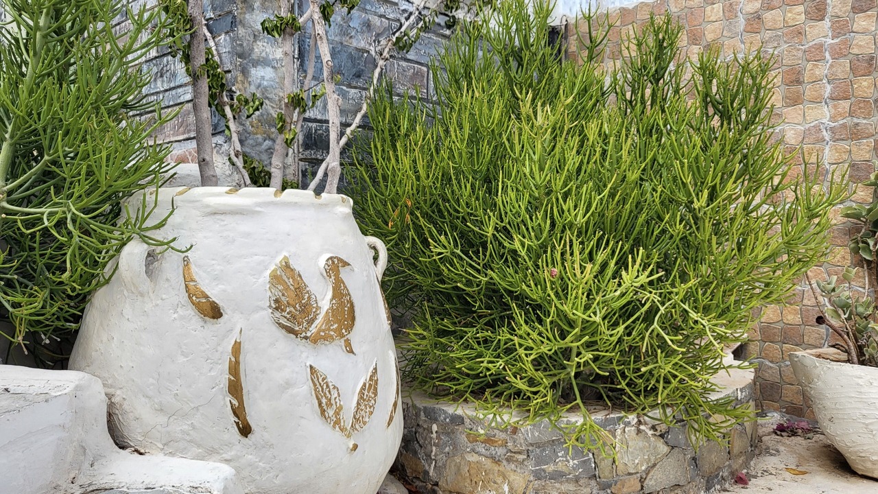 Photo of Outdoor in Piskopiano