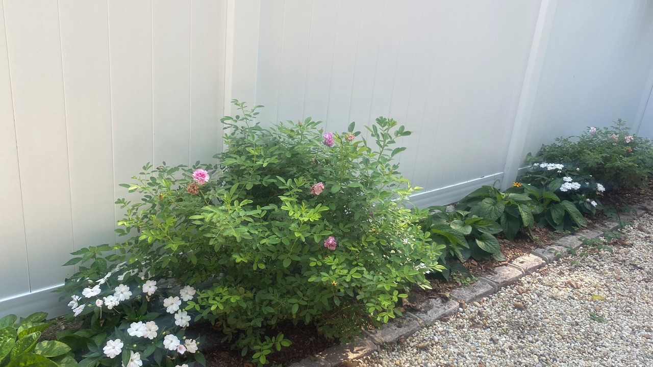 Photo of Outdoor in Greenport