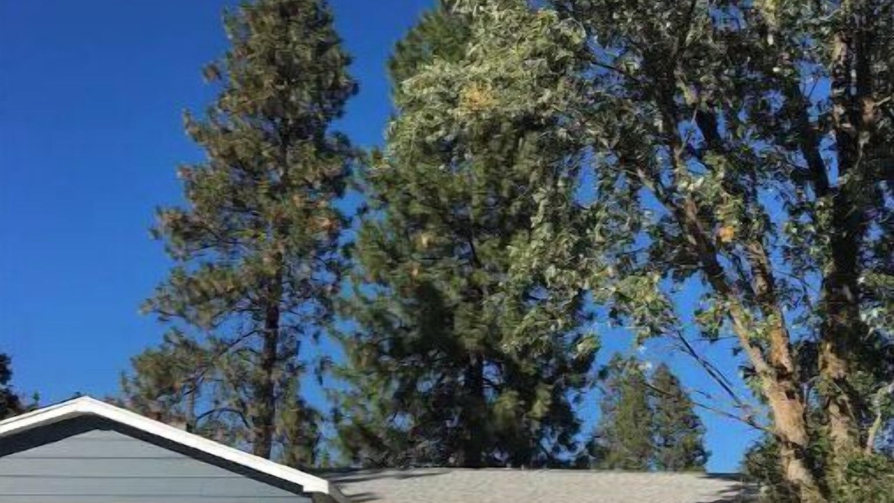Photo of Outdoor in Spokane