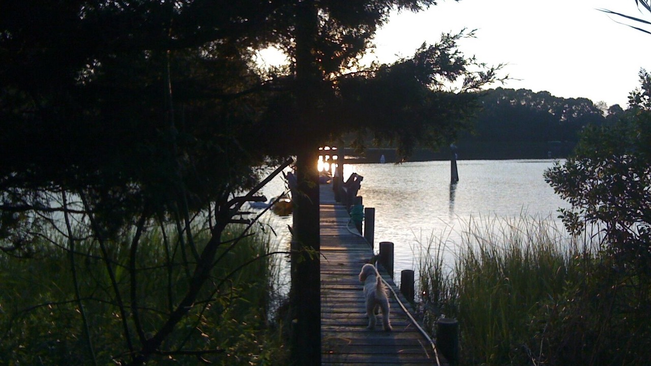 Photo of Outdoor in Shelter Island Heights