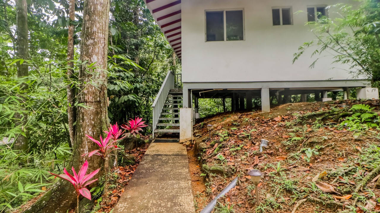 Photo of Outdoor in Tres Rios