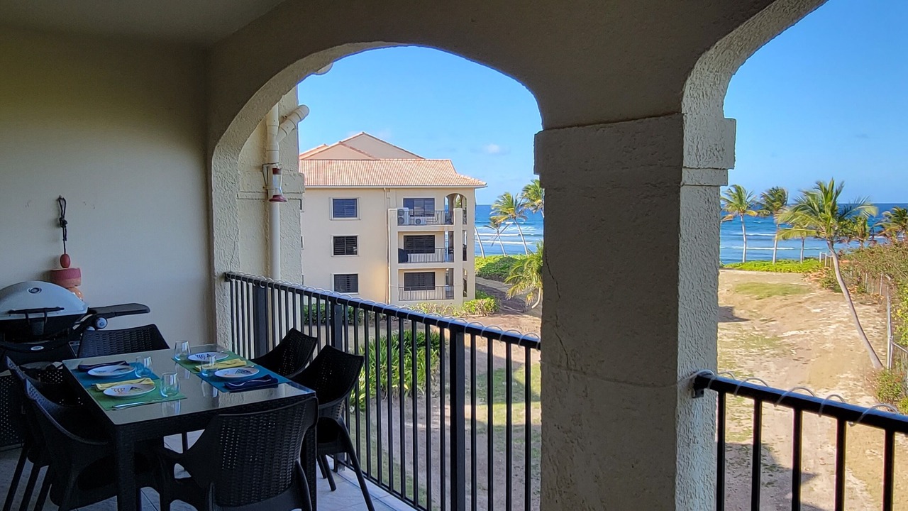 Photo of Patio Balcony in La Grande Princesse