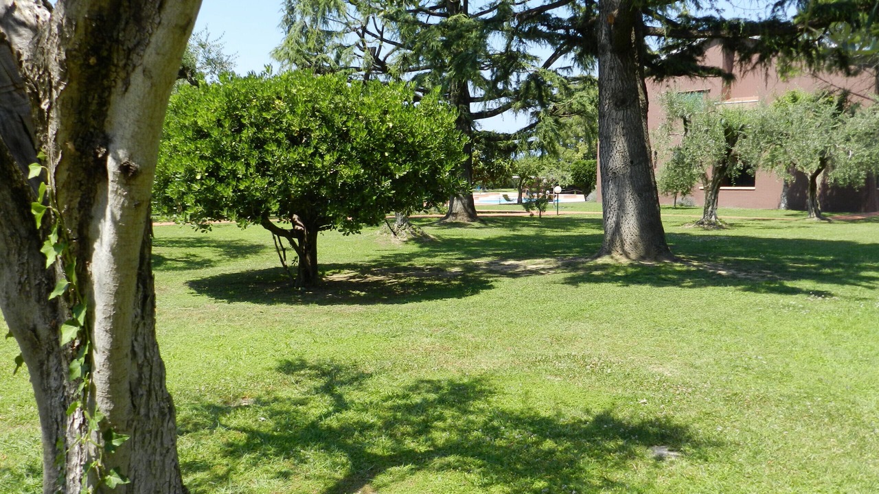 Photo of Outdoor in Cisano