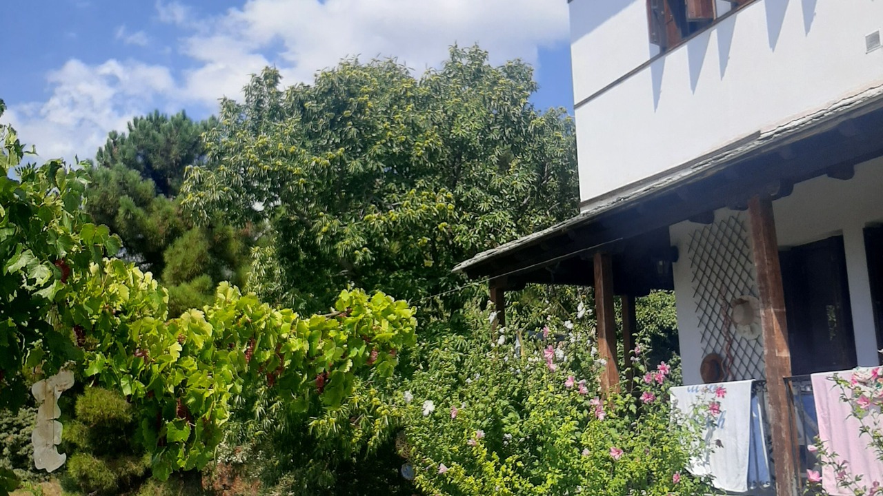 Photo of Patio Balcony in Milies