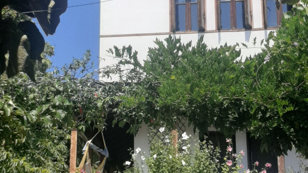 Photo of Outdoor in Milies