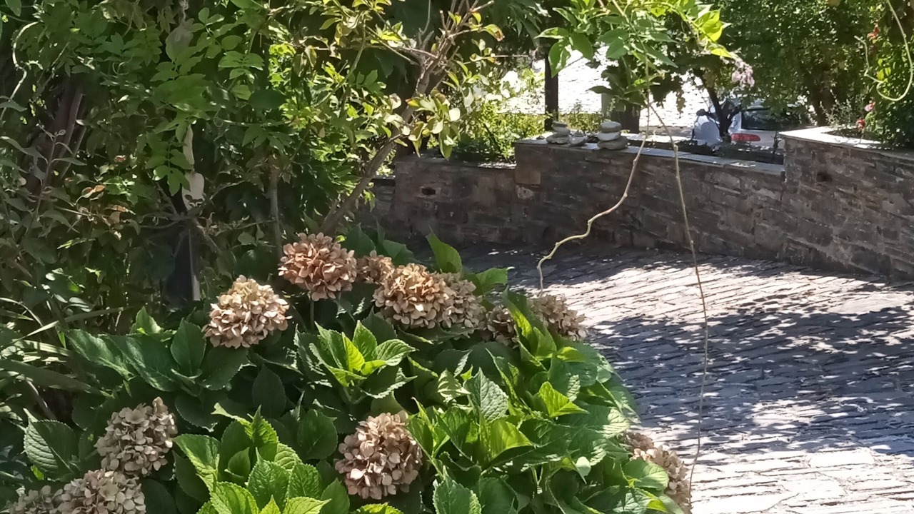 Photo of Outdoor in Milies