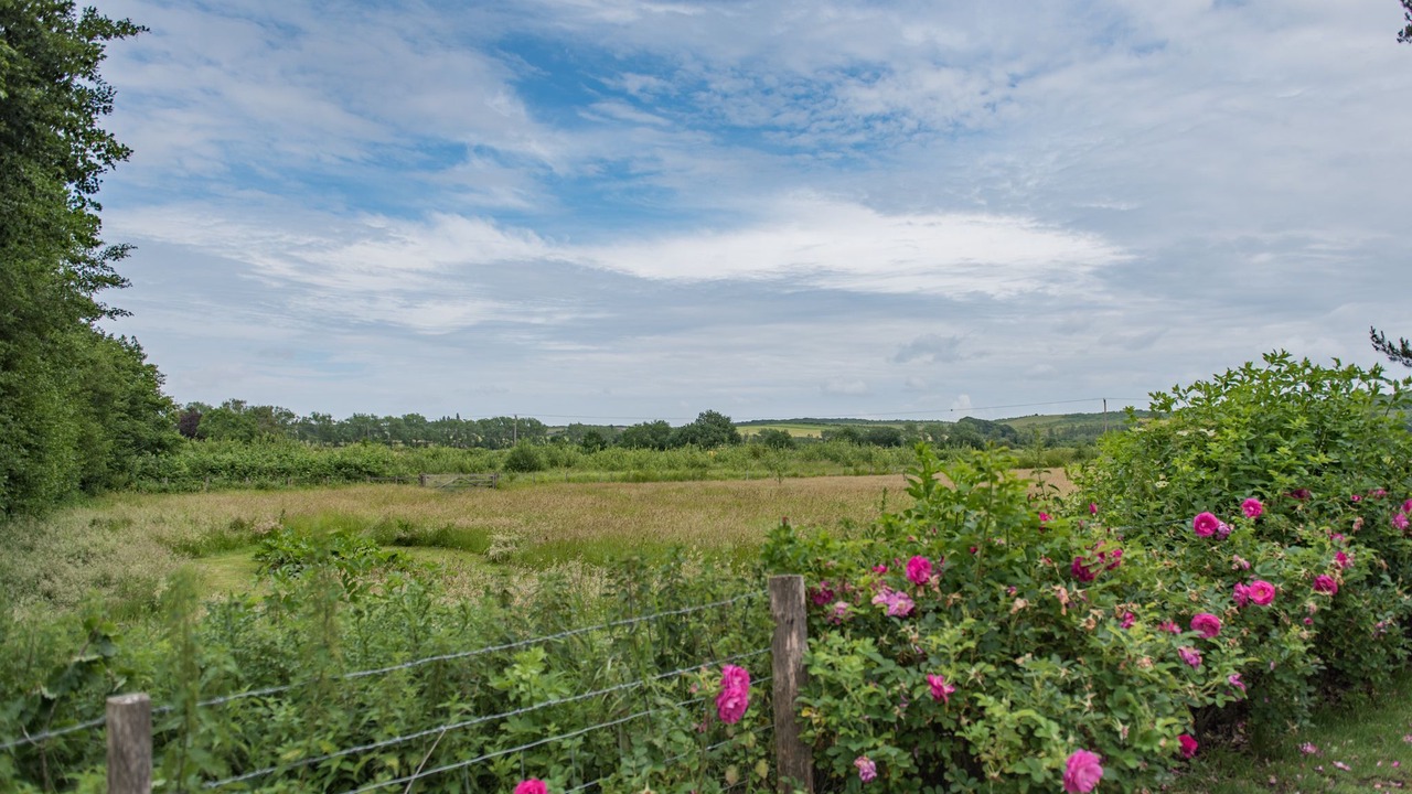 Photo of Outdoor in Dargate