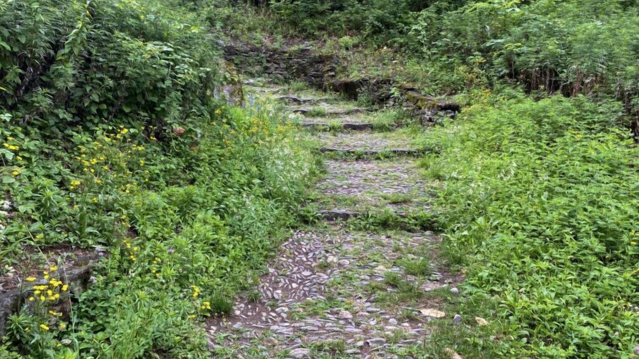 Photo of Outdoor in Bellinzona