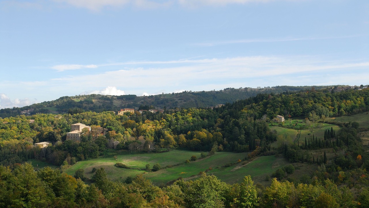 Photo of Others in Vivo dʼOrcia