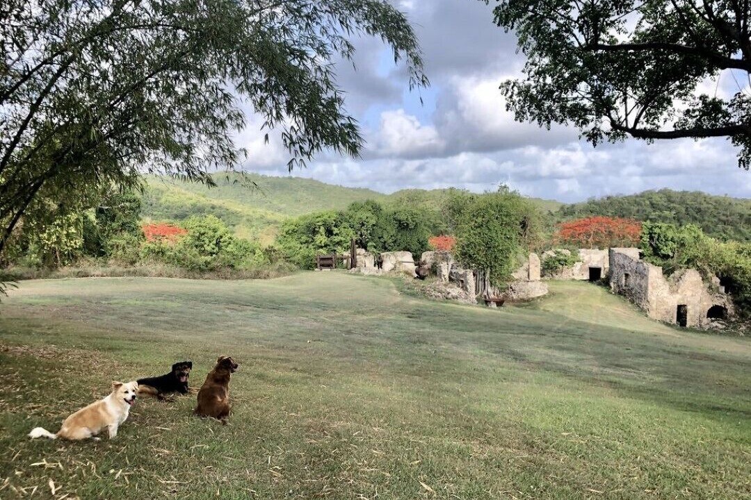 Photo of Others in Estate Annaly