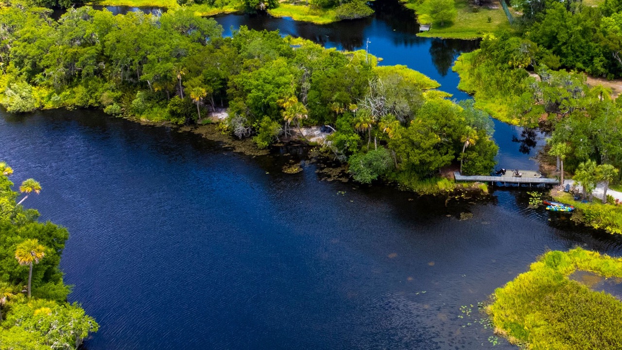 Photo of Others in Braden River