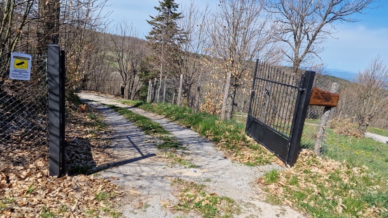 Photo of Outdoor in Vivo dʼOrcia