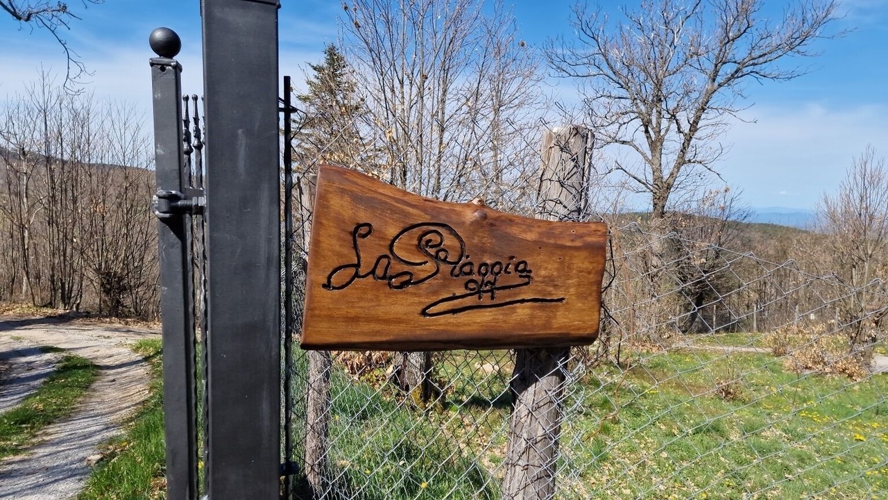 Photo of Outdoor in Vivo dʼOrcia