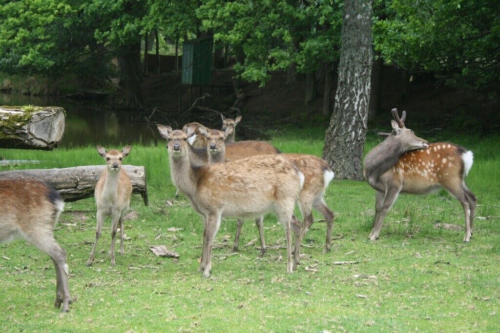 Photo of Outdoor in La Petite-Pierre