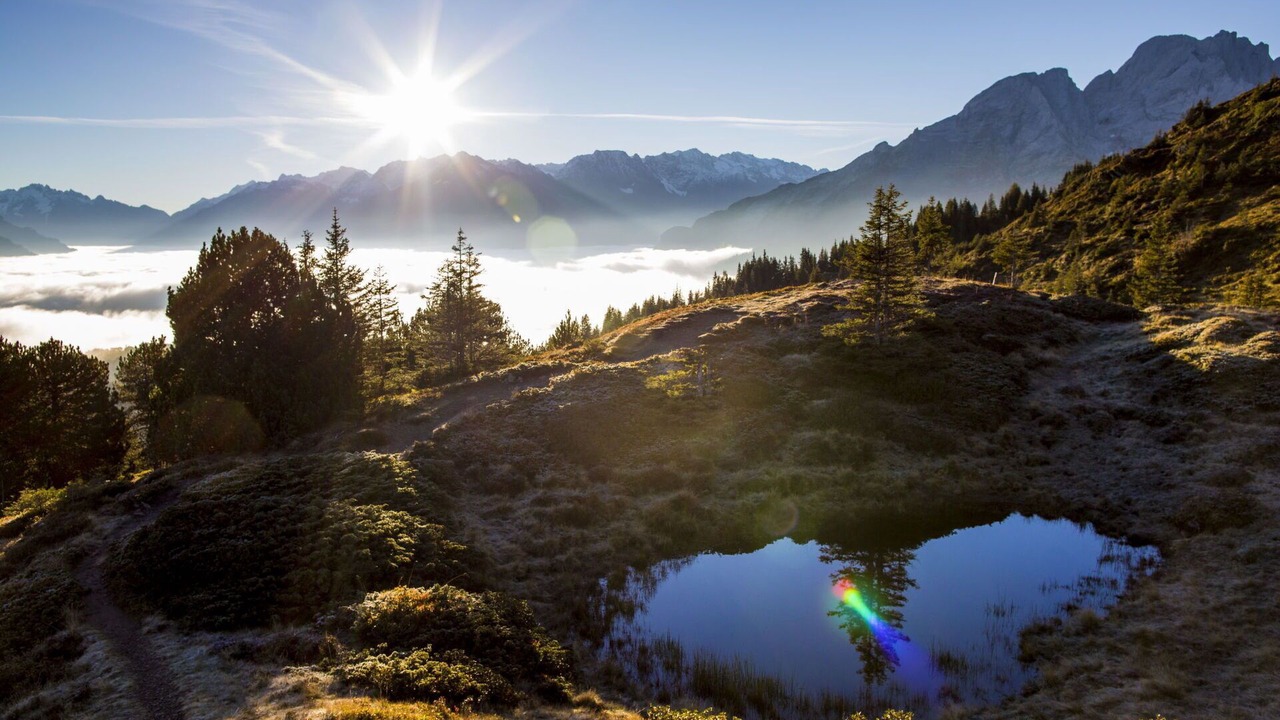 Photo of Others in Meiringen