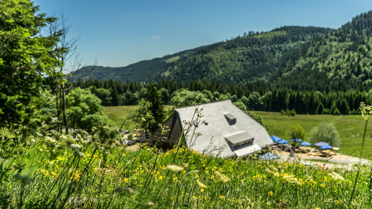 Photo of Outdoor in Titisee-Neustadt