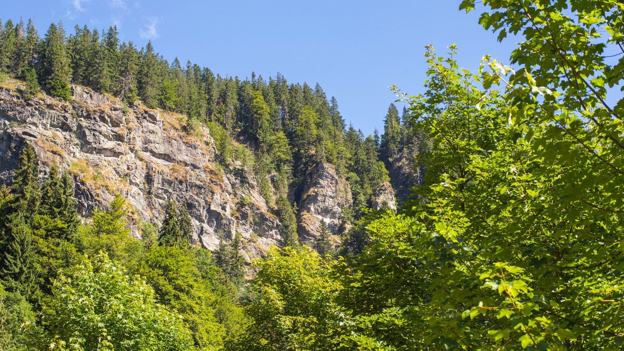 Photo of Outdoor in Titisee-Neustadt