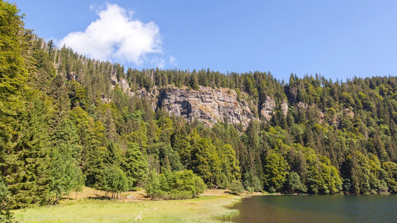 Photo of Others in Titisee-Neustadt
