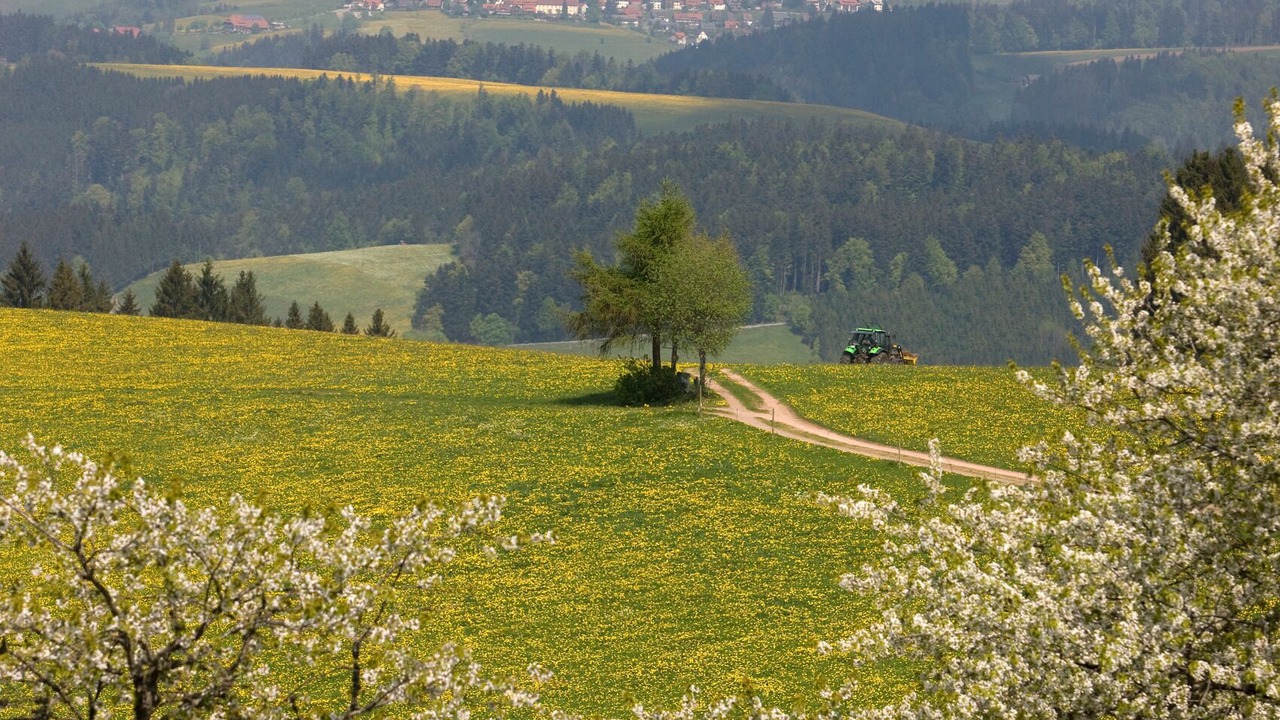 Photo of Others in Titisee-Neustadt