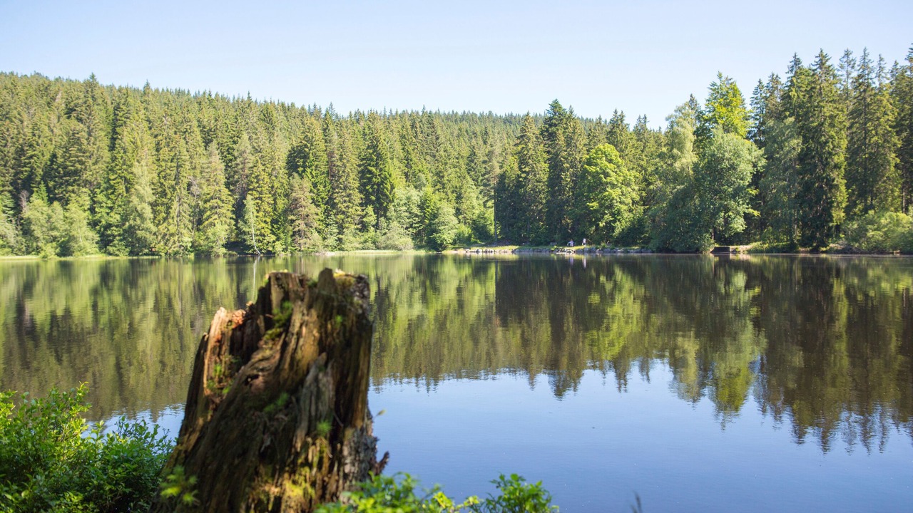 Photo of Outdoor in Titisee-Neustadt