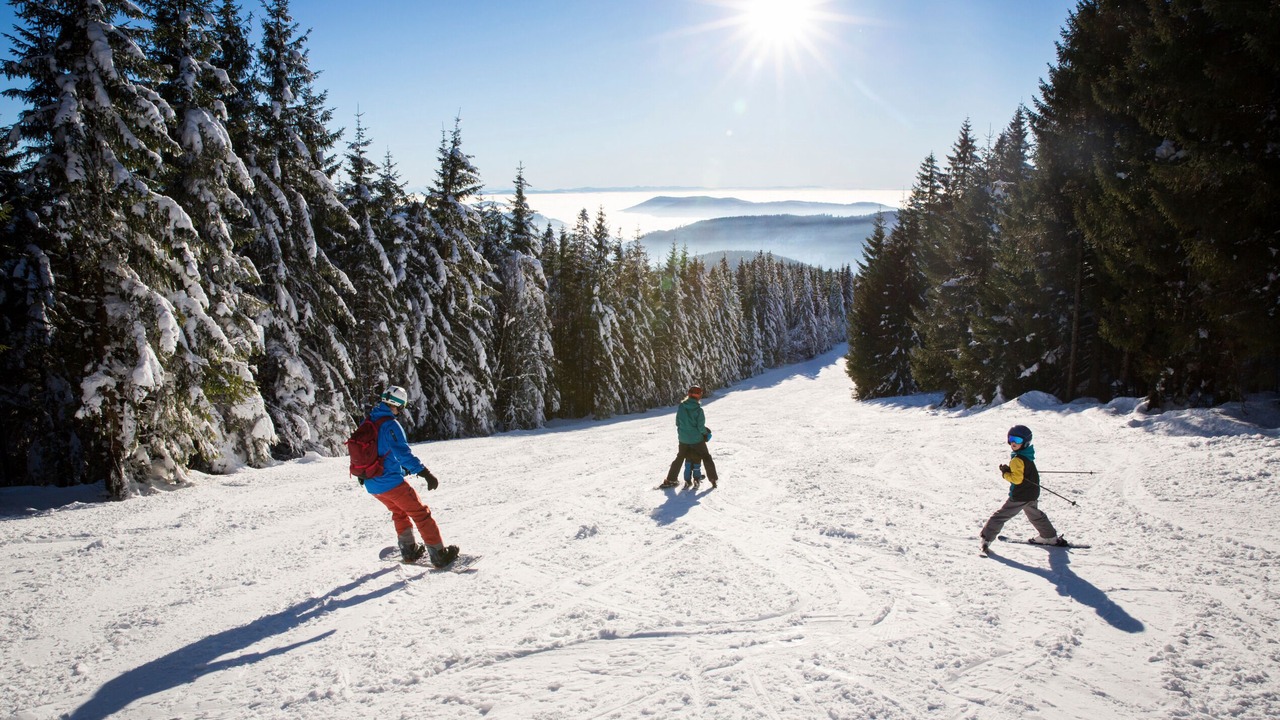 Photo of Others in Titisee-Neustadt
