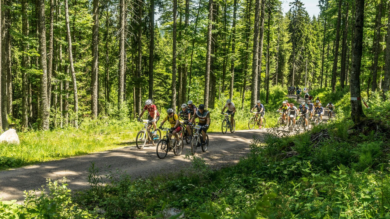 Photo of Outdoor in Titisee-Neustadt