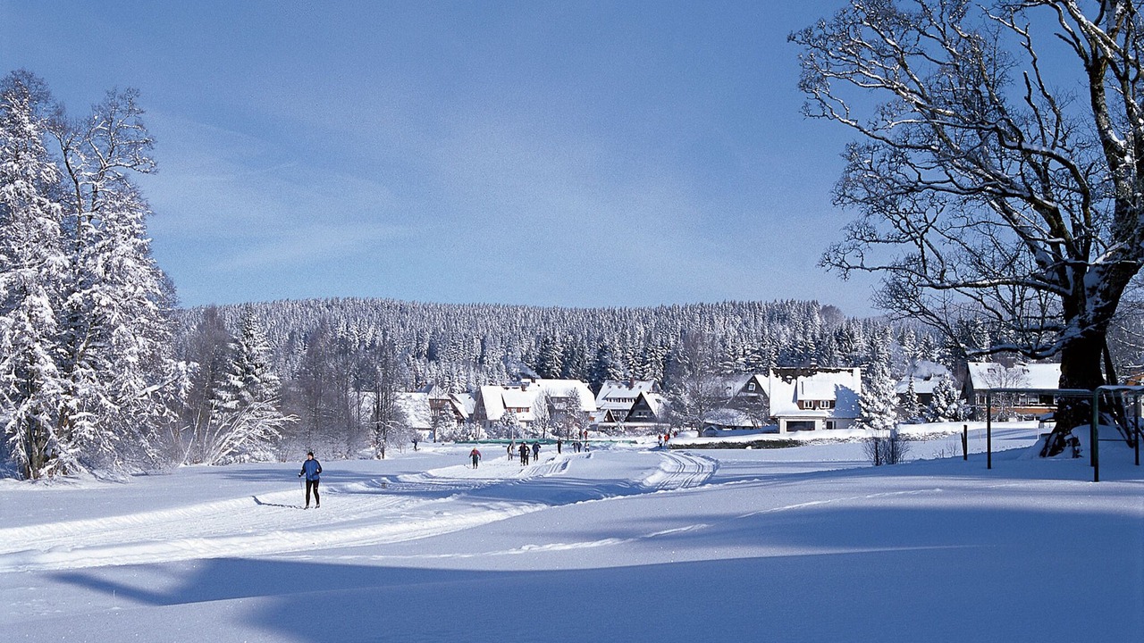 Photo of Others in Hinterzarten