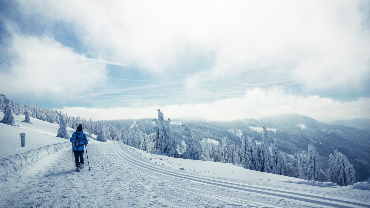 Photo of Others in Hinterzarten