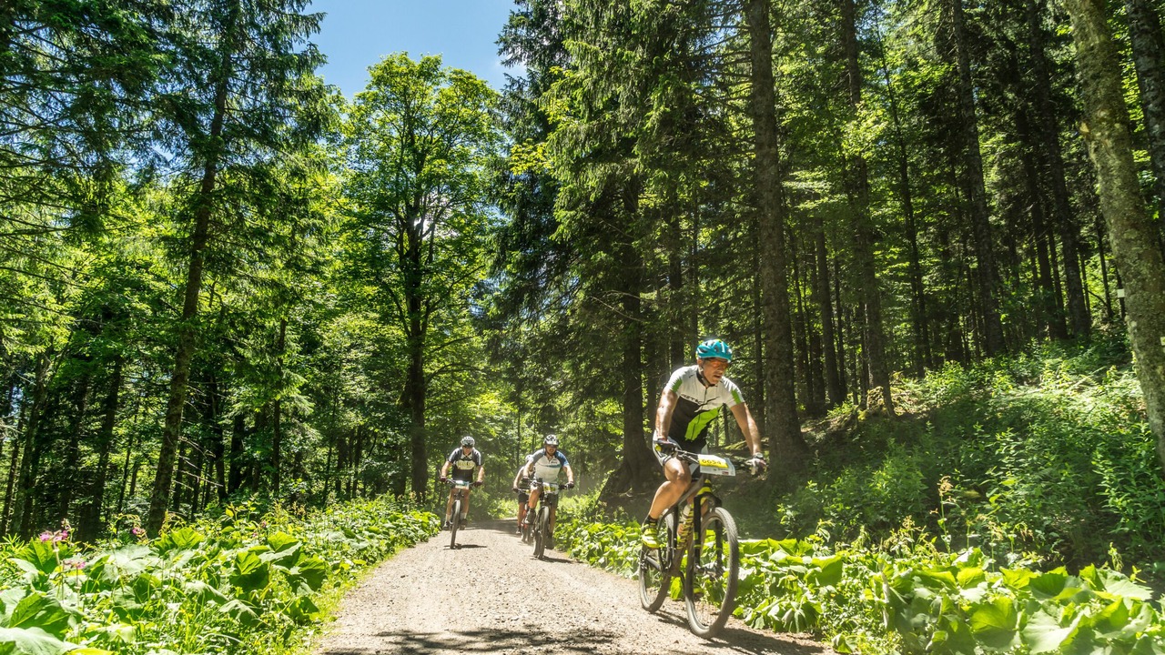 Photo of Outdoor in Hinterzarten