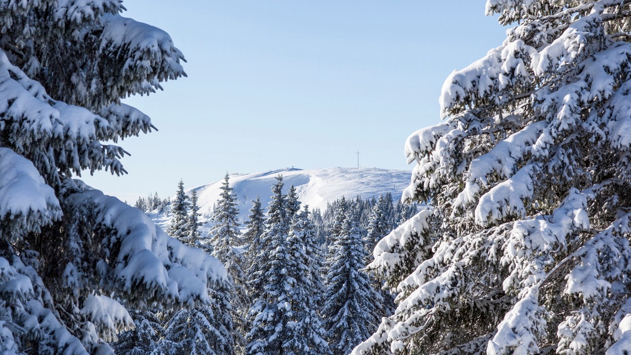 Photo of Outdoor in Titisee-Neustadt