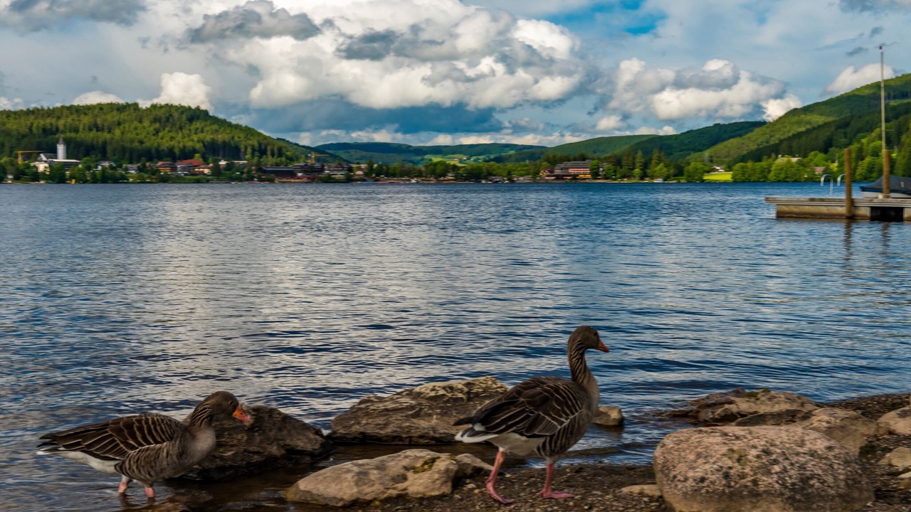 Photo of Others in Titisee-Neustadt
