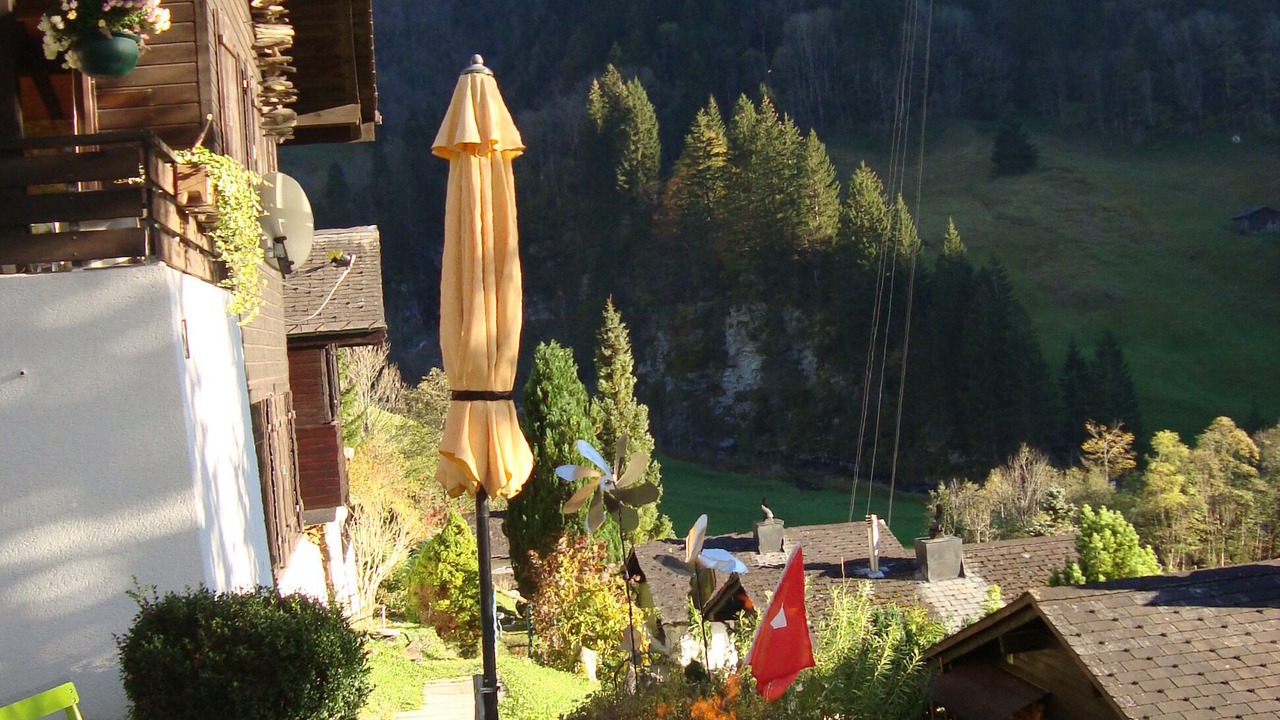 Photo of Outdoor in Elm