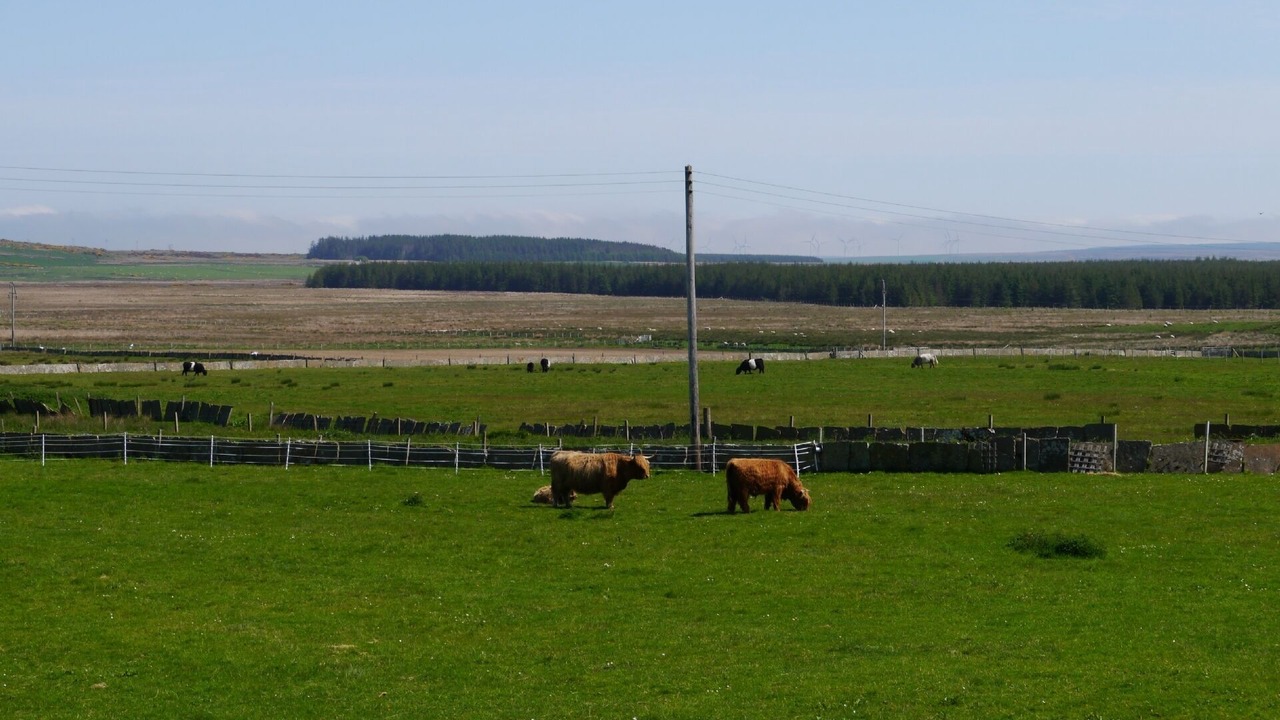 Photo of Outdoor in Spittal