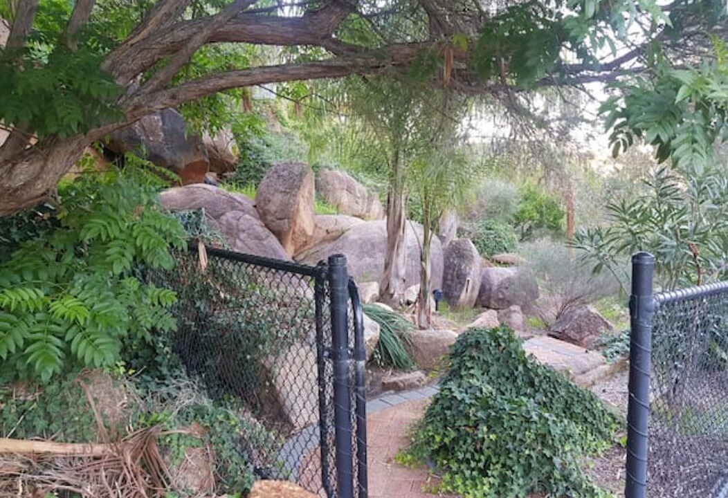 Photo of Outdoor in Swan View