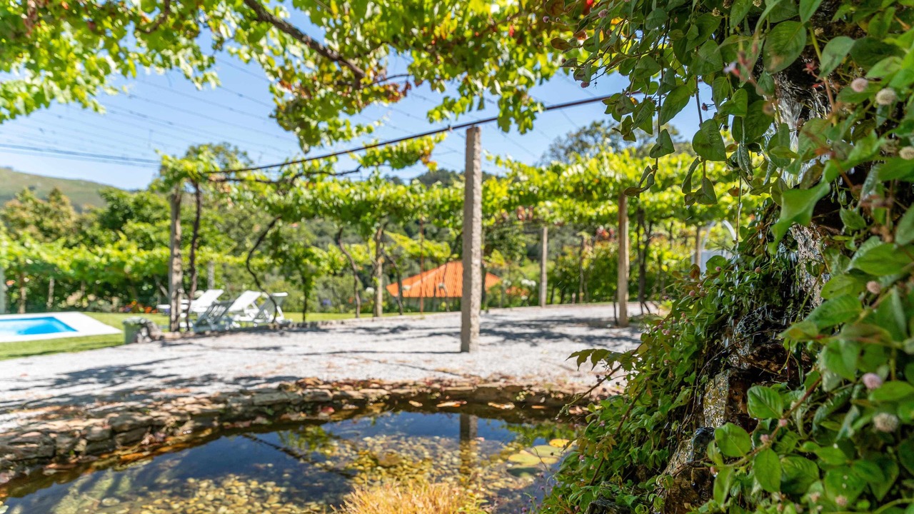 Photo of Outdoor in Fornelos