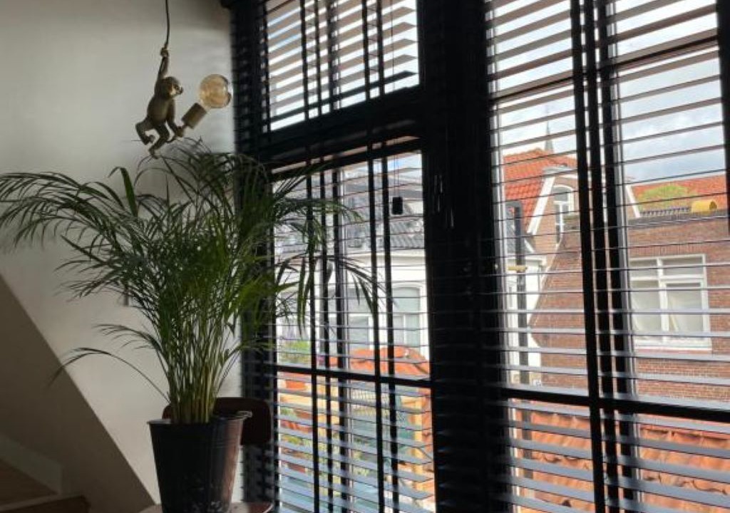 Photo of Others in Dokkum