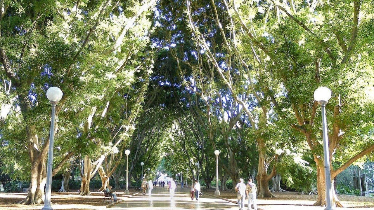Photo of Outdoor in Woolloomooloo