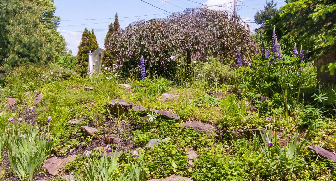 Photo of Outdoor in Wolfville