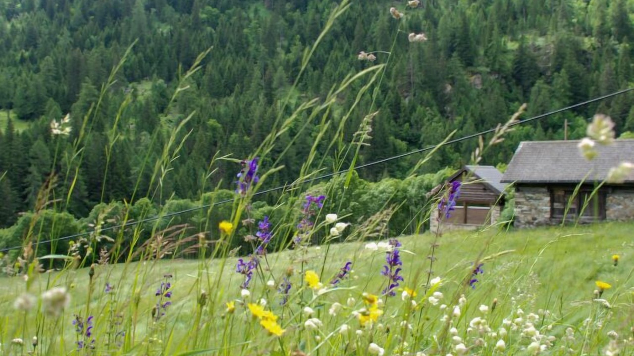 Photo of Outdoor in Blenio