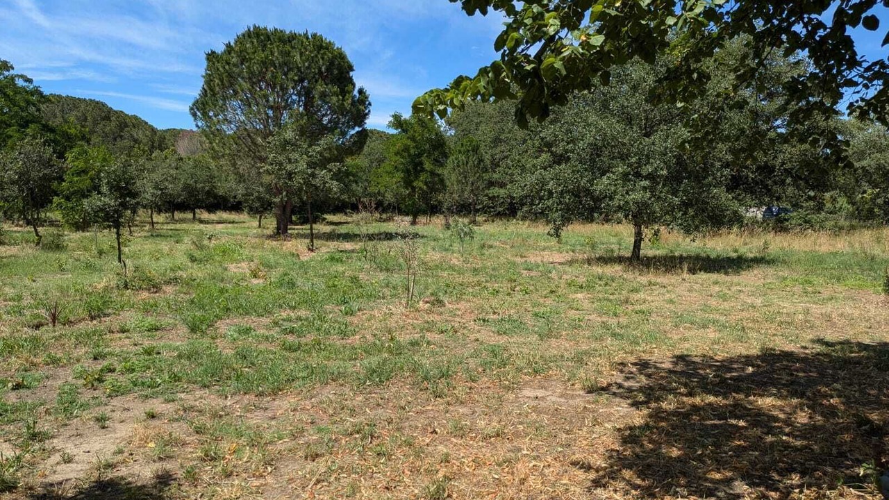 Photo of Outdoor in Montesquieu-des-Alberes