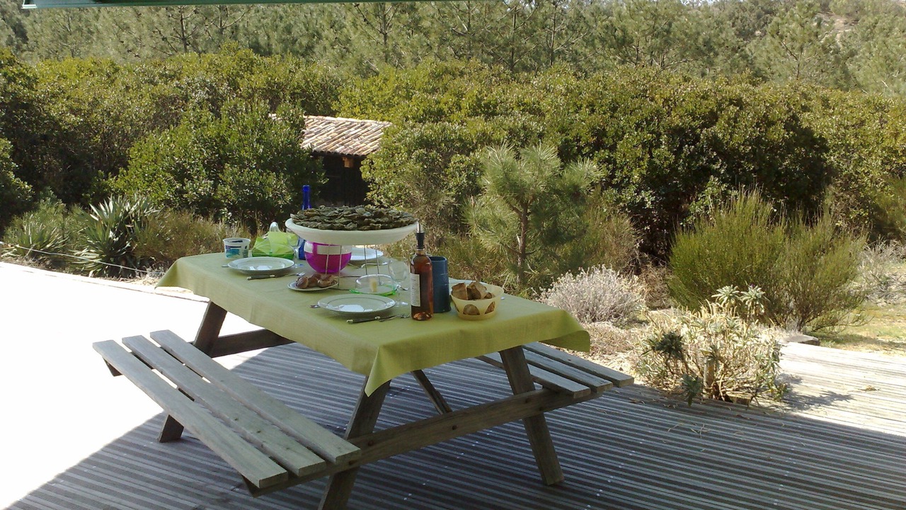 Photo of Outdoor in Cap-Ferret