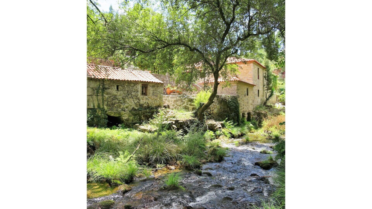 Photo of Others in Cossourado